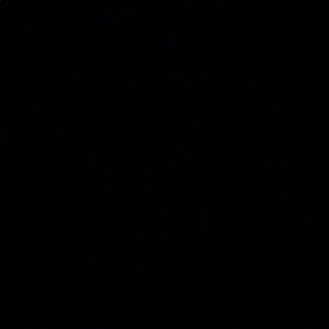 Meet your Posher, Jules